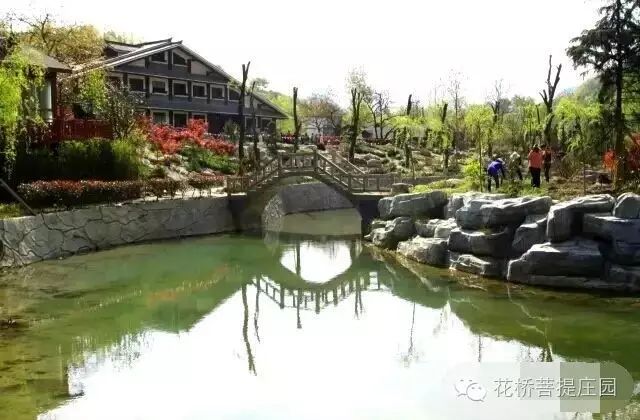 這個(gè)周末，隴南康縣花橋有大事要發(fā)生？