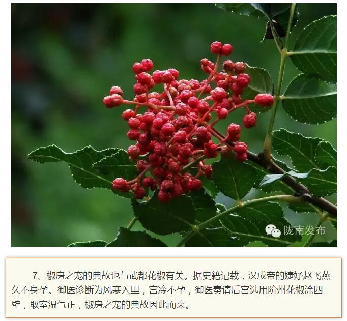 蘭渝鐵路最早由孫中山先生提出？在隴南，你不知道的事兒還有……