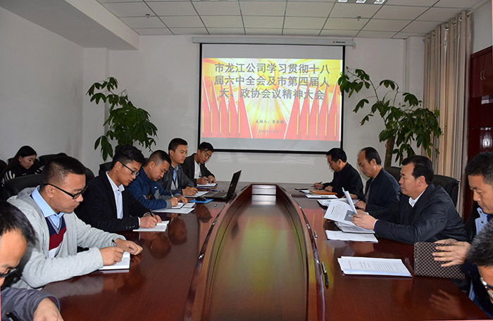 市龍江公司召開全體員工大會(huì)，專題傳達(dá)學(xué)習(xí)上級(jí)會(huì)議精神